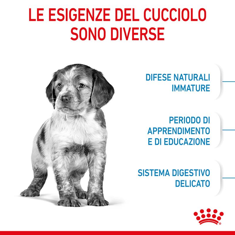Royal Canin Medium Puppy 15kg - Crocchette per Cani Royal Canin Medium Puppy 15kg - Crocchette per Cani